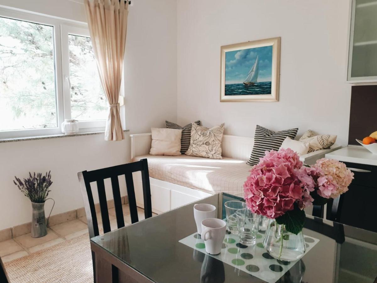 Apartments Paklenica 斯塔利格拉德-帕克利尼卡 外观 照片
